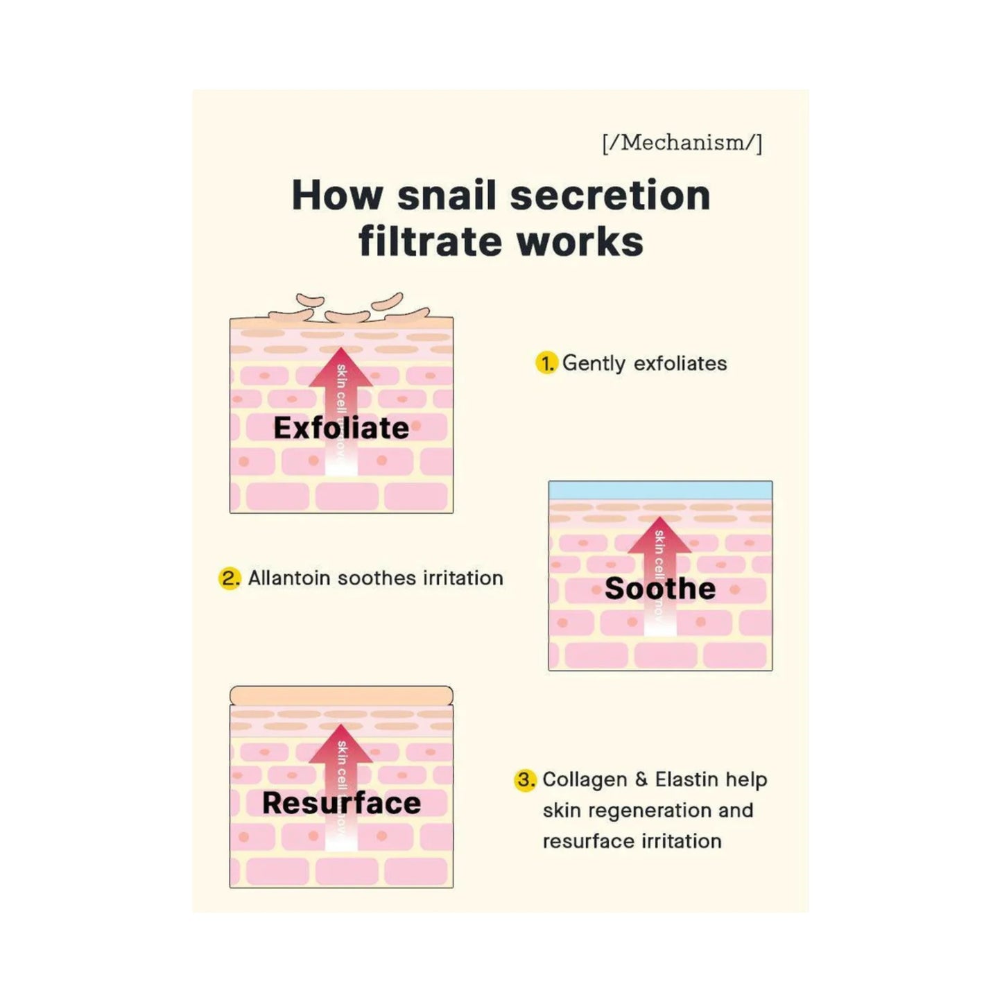 Cosrx Advanced Snail Radiance Dual Essence 80ml