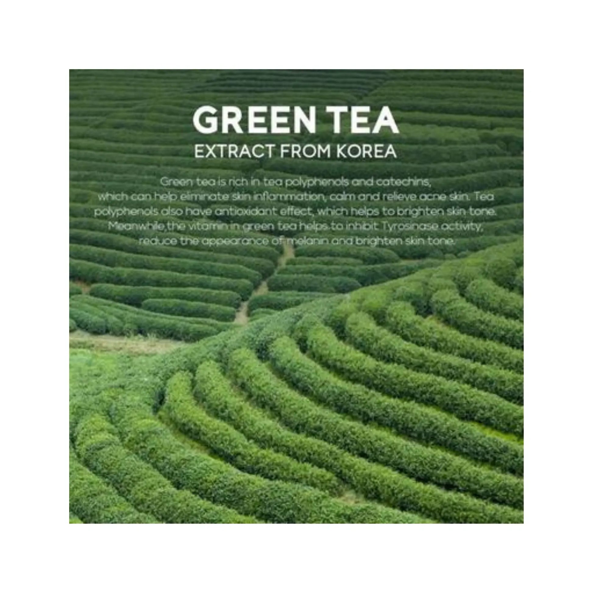 Fenyi Green Tea Essence Cream 40g