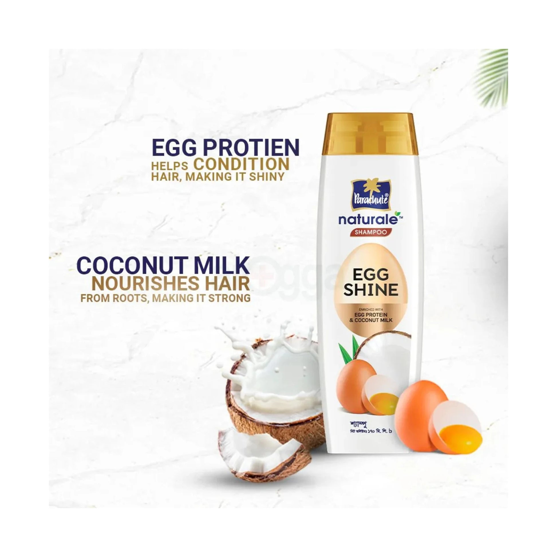 Parachute Natural Shampoo Egg Shine 170ml