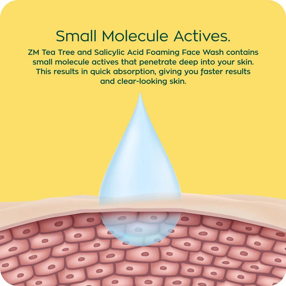 Zayn & Myza Tea Tree & Salicylic Acid Foaming Face Wash (Applicator)-Men
